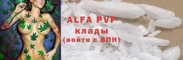 сатива Алексеевка
