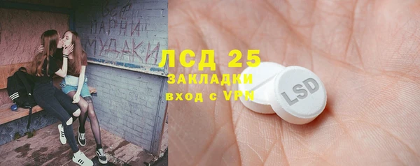 гидра Абаза