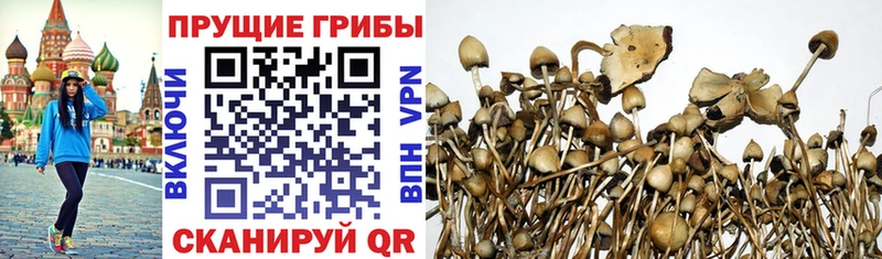 Галлюциногенные грибы ЛСД  Усмань 